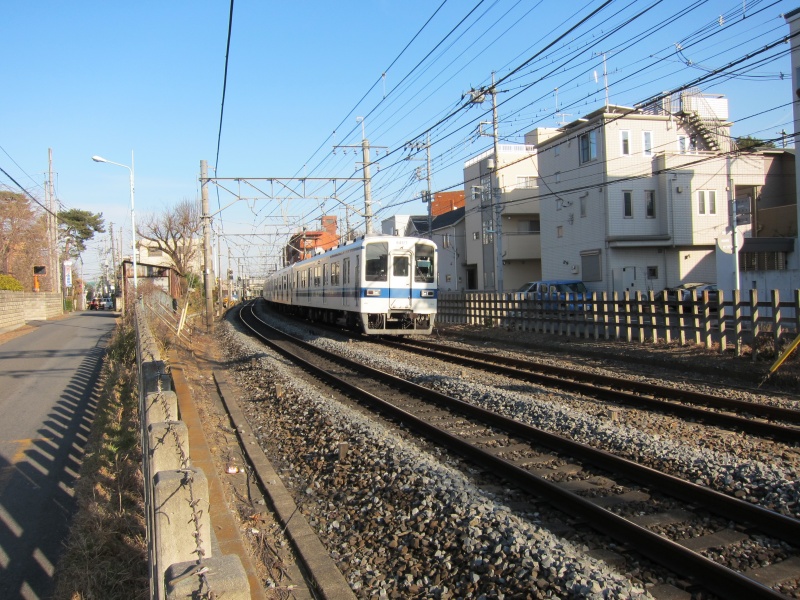 Bonsai Village - Local Train Bonsai Village - Local Train