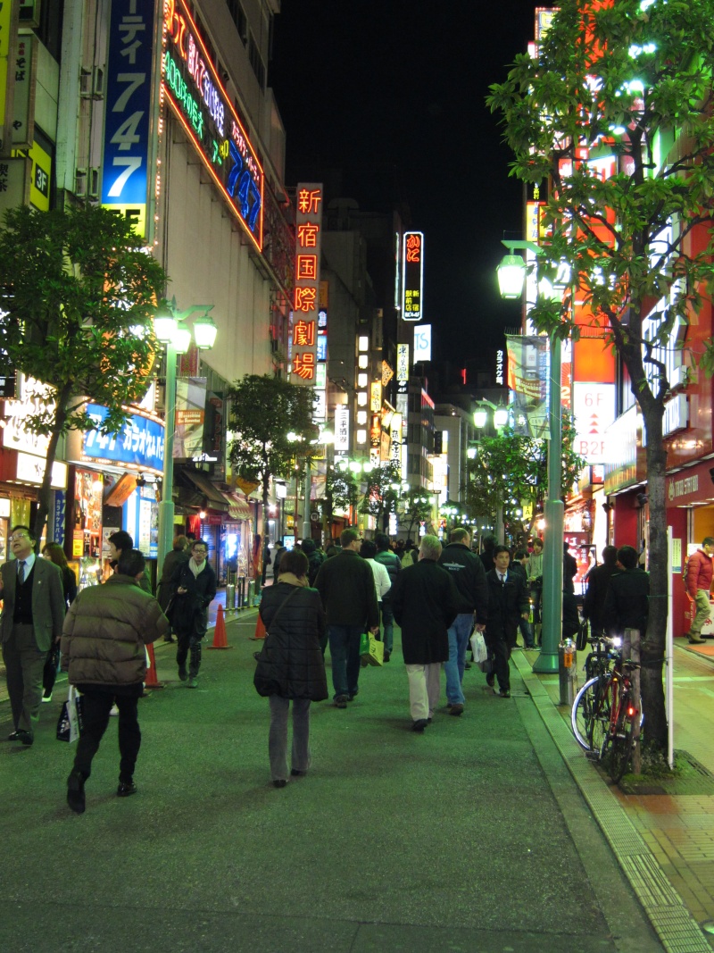 Shinjuku at Night Shinjuku at Night