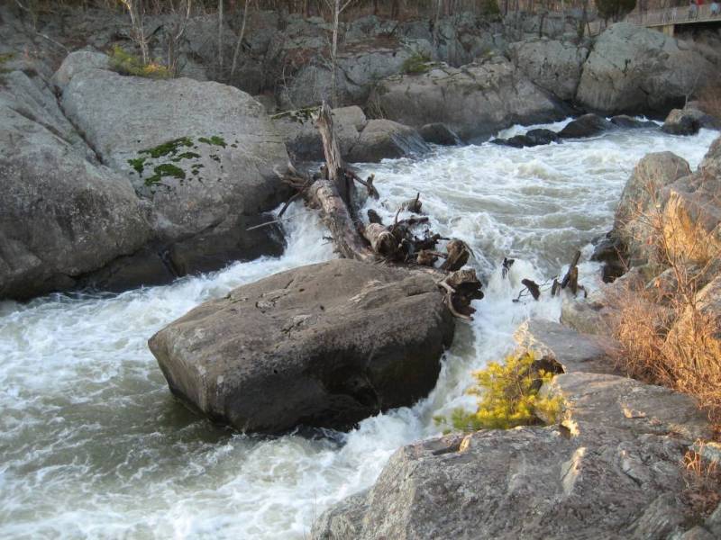 Great Falls, MD